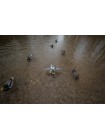 Плавающий селезень кряквы с вращающимися крыльями LUCKY HD FLOATER - MALLARD DRAKE